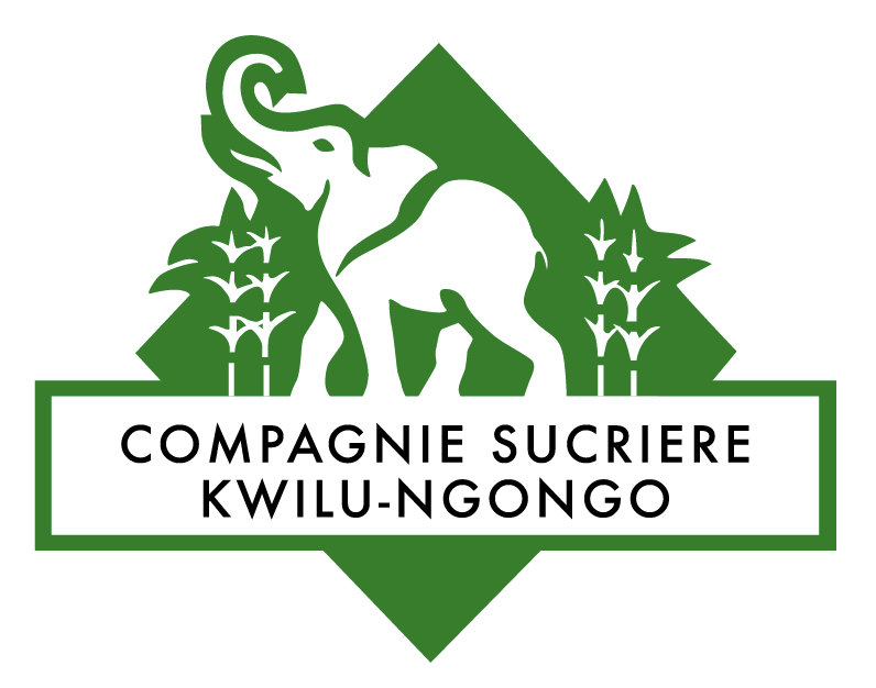 Kwilu Ngongo